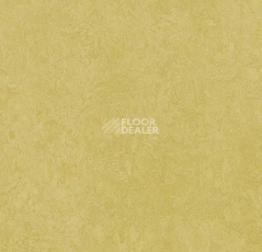 Линолеум Forbo Marmoleum Decibel on Order 325935 mustard фото 1 | FLOORDEALER